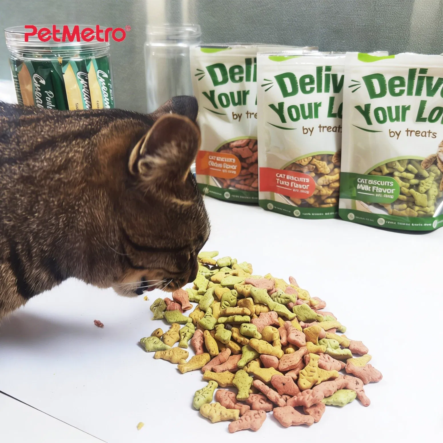 Protein Enhanced 100g Crunchy Catnip Infused Fish Shaped Treat Designed for Global Markets Protein Rich Cat Treats