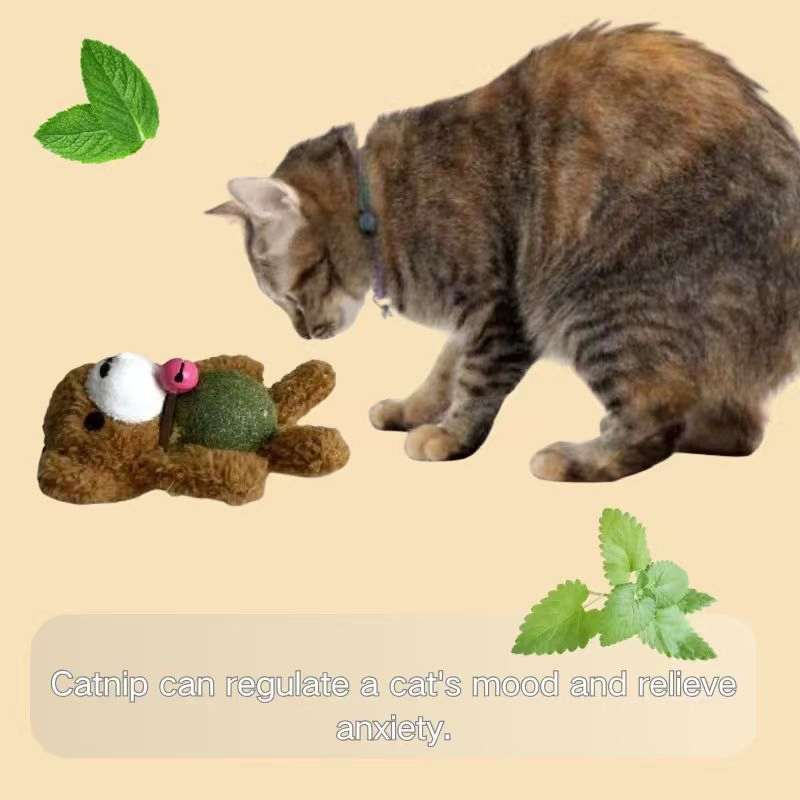 100% Natural Organic Dried Catnip - Premium Non-GMO Catnip Treats for Cats, Safe Edible Feline Snacks to Boost Playfulness &amp; Reduce Stress