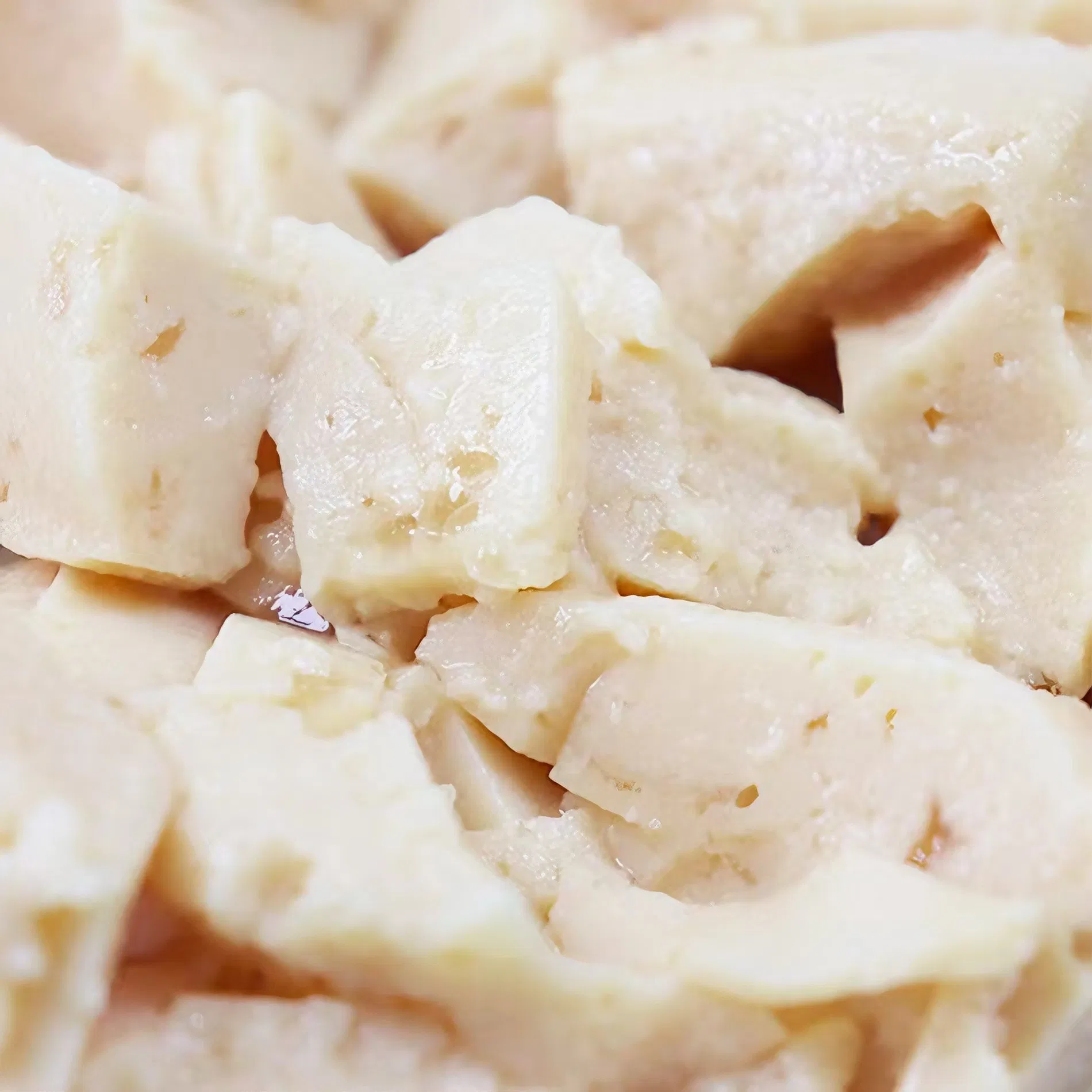 Grain Free Chicken Soft Mousse Enhanced with Goat Milk and DHA for Sensitive Young Cats Grain Free Kitten Food