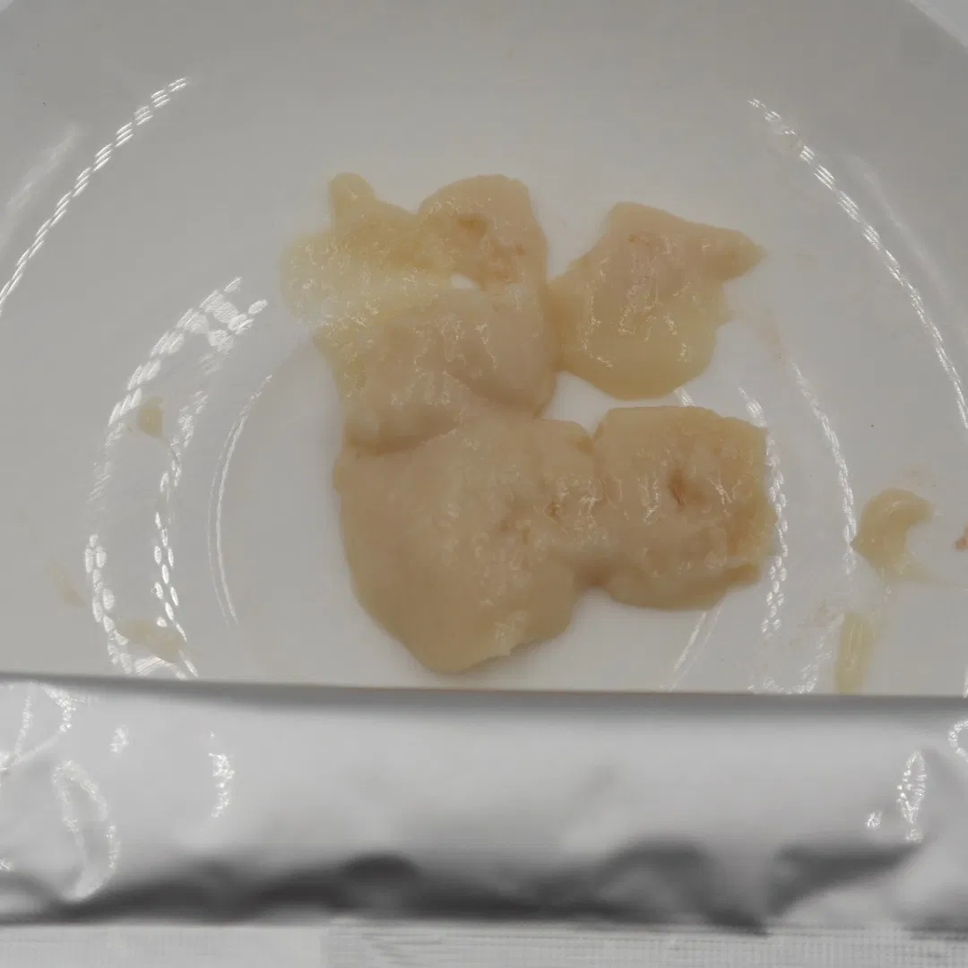 Kitten Wet Food Adult Popular Product Pet Adult Food