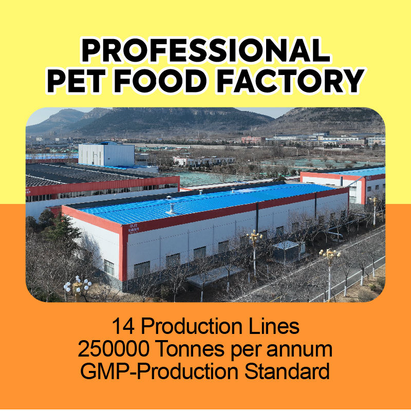 Free Samples Factory Direct Supply Hypoallergenic Premium Natural Crunchy Dry Cat Food