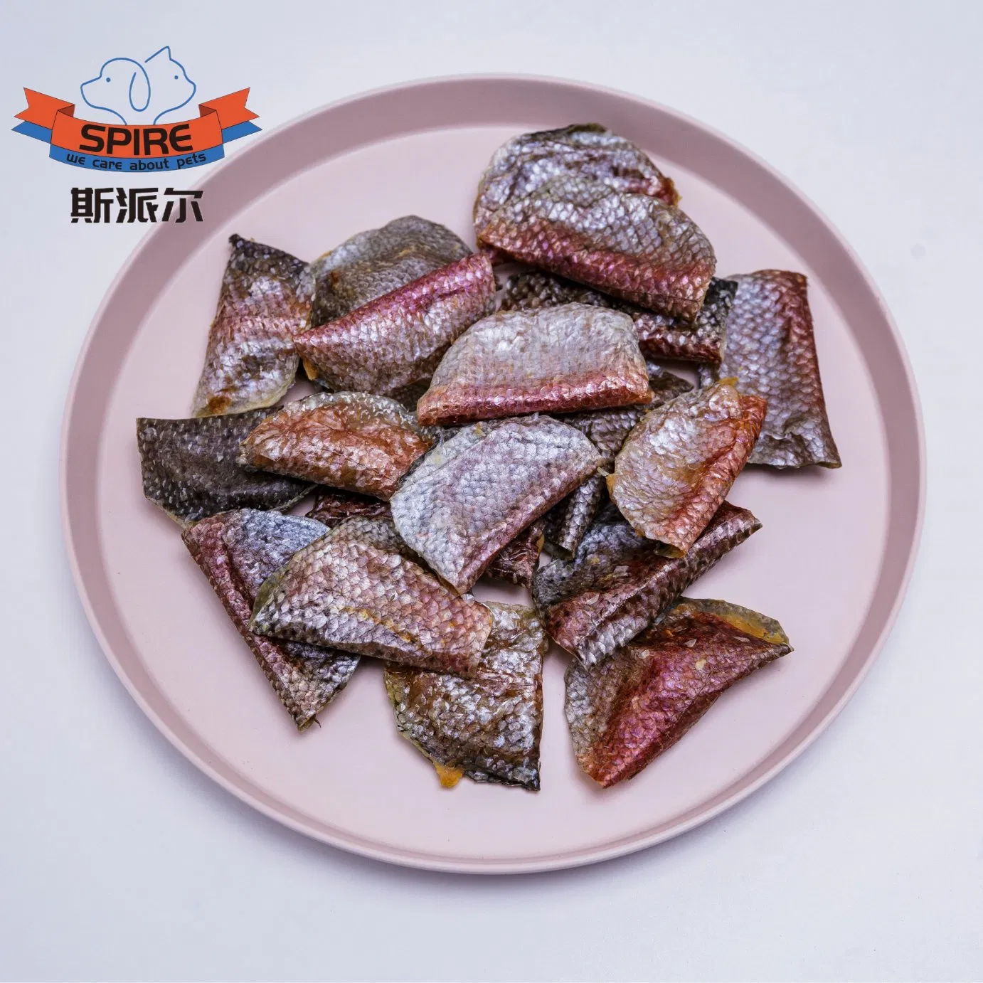 Hypoallergenic Salmon Dumpling Dry Dog Food for Strict Diet