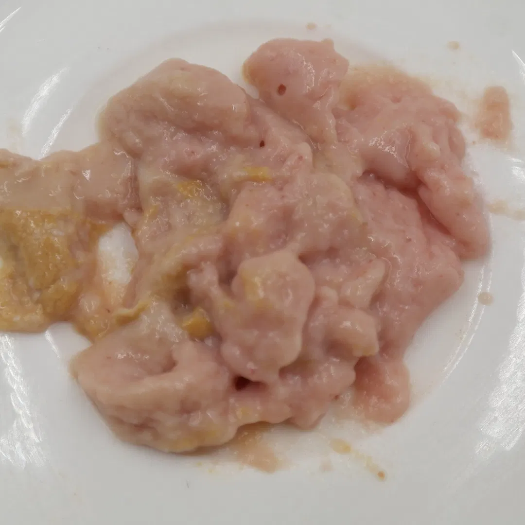 Kitten Wet Food Adult Popular Product Pet Adult Food