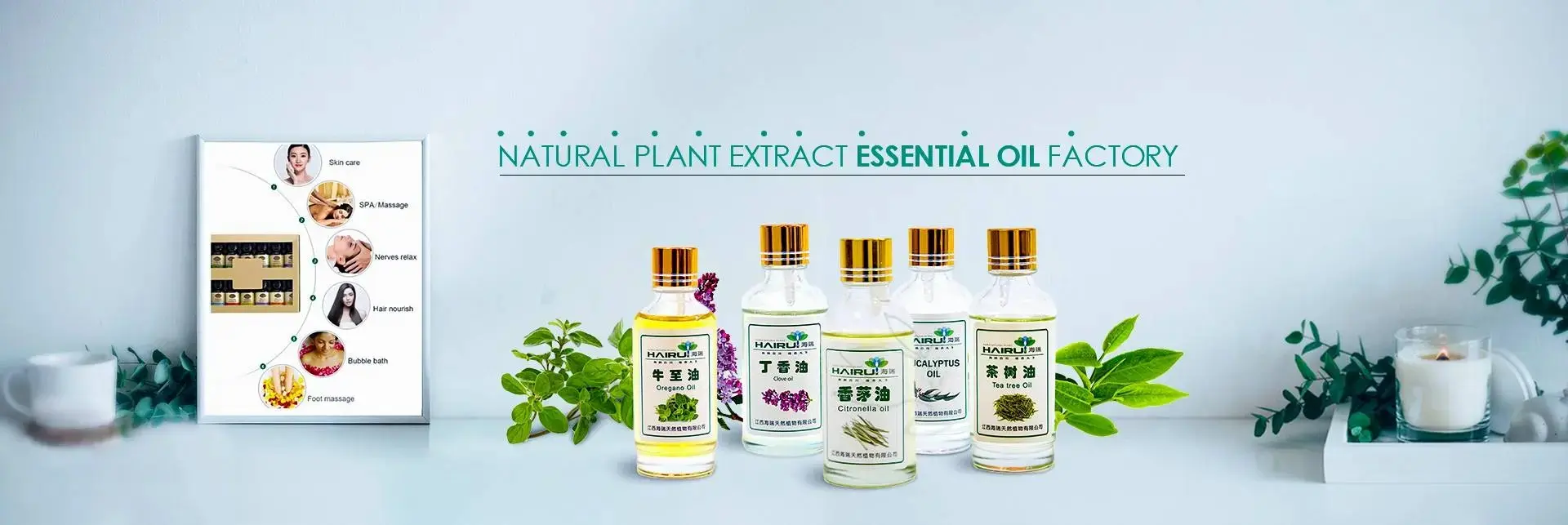 Advanced steam distillation facilities for premium essential oil extraction