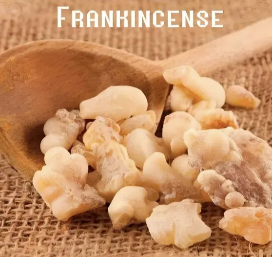 Frankincense Essential Oil