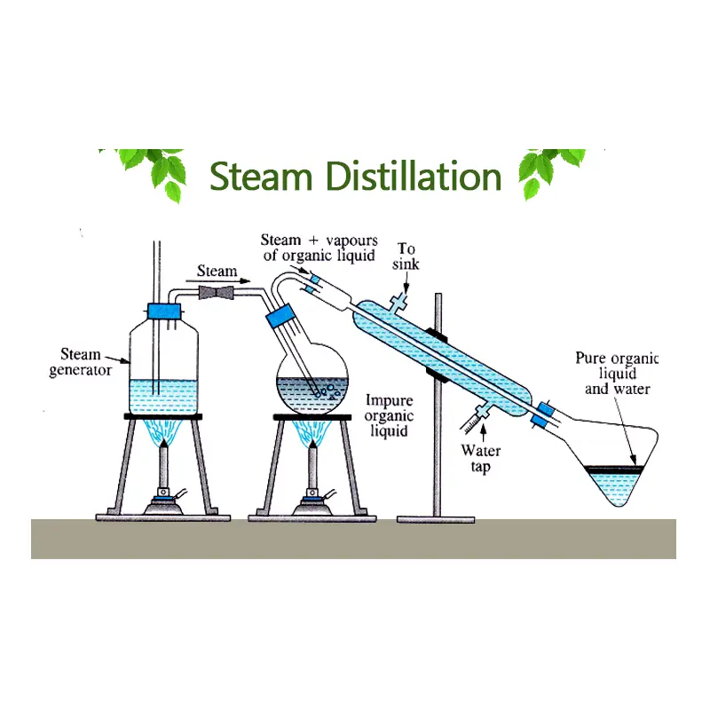 steam distilled.png