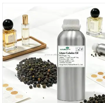 Wholesale Litsea Cubeba Essential Oil Natural Plant Extract Aromatherapy Comfort Care Factory, Exporters