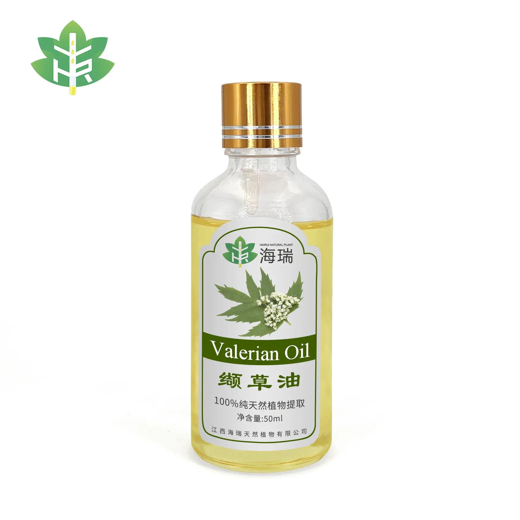 Discount Pure Natural Valerian Oil Premium Essential Oil for Sleep & Relaxation Exporter, Exporters