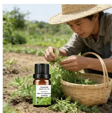 Artemisia Oil Product