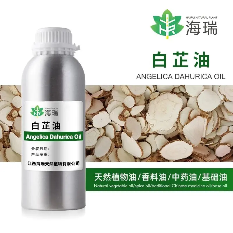 Best High Quality Angelica Dahurica Essential Oil Angelica Dahurica Aromatherapy Diffuser Oil Factory, Exporters