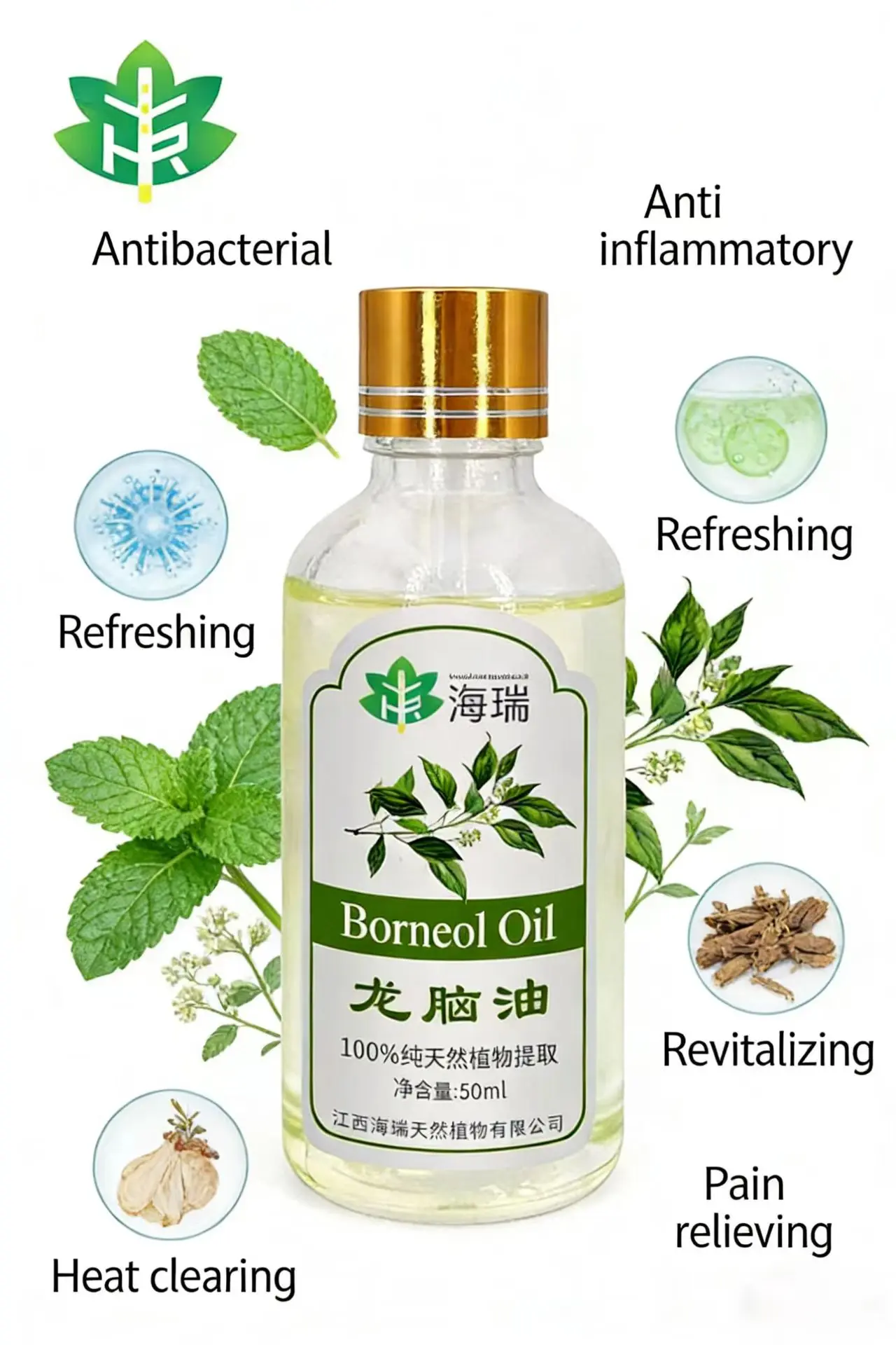 borneol oil function.jpg