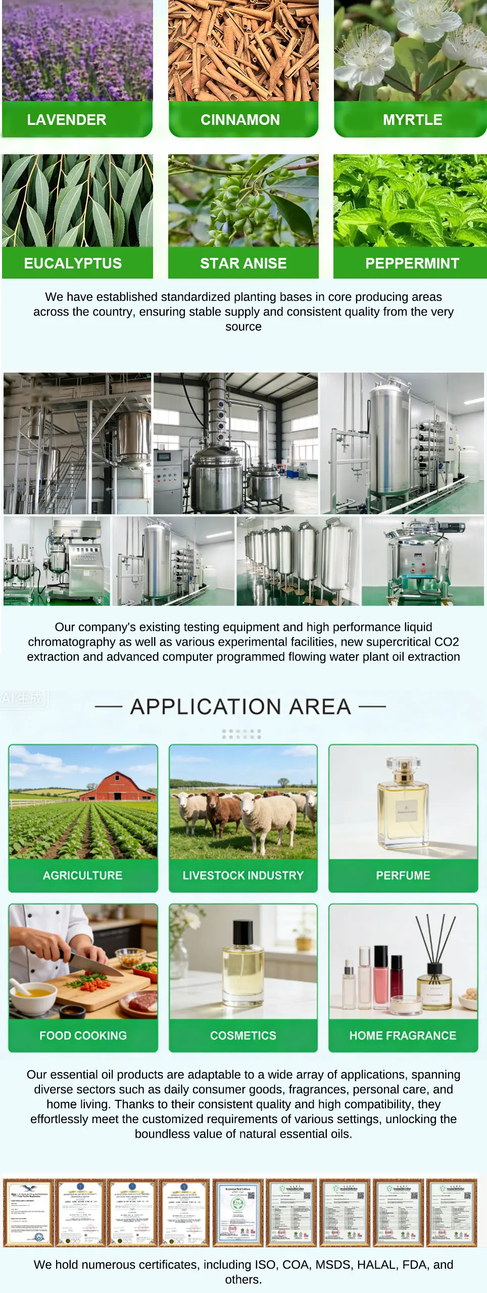 factory introduction