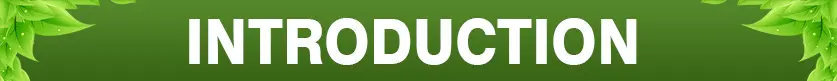 eugenol Introduction.jpg
