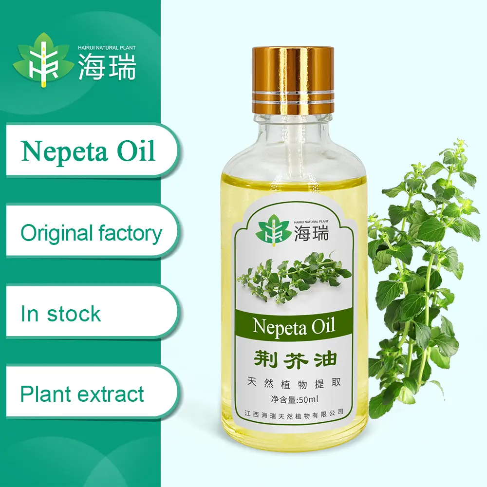 Discount Nepeta Oil – Nature's Potent Oil for Insects, Calm, and Skin Balance Manufacturer, Exporter