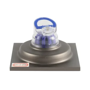 Stainless Steel Floor Drain