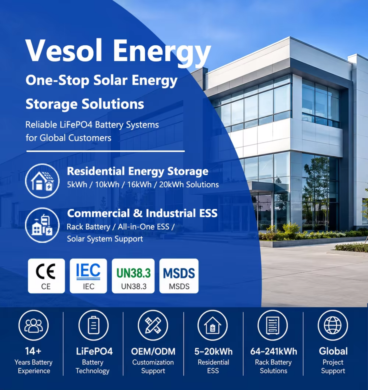 Company Overview