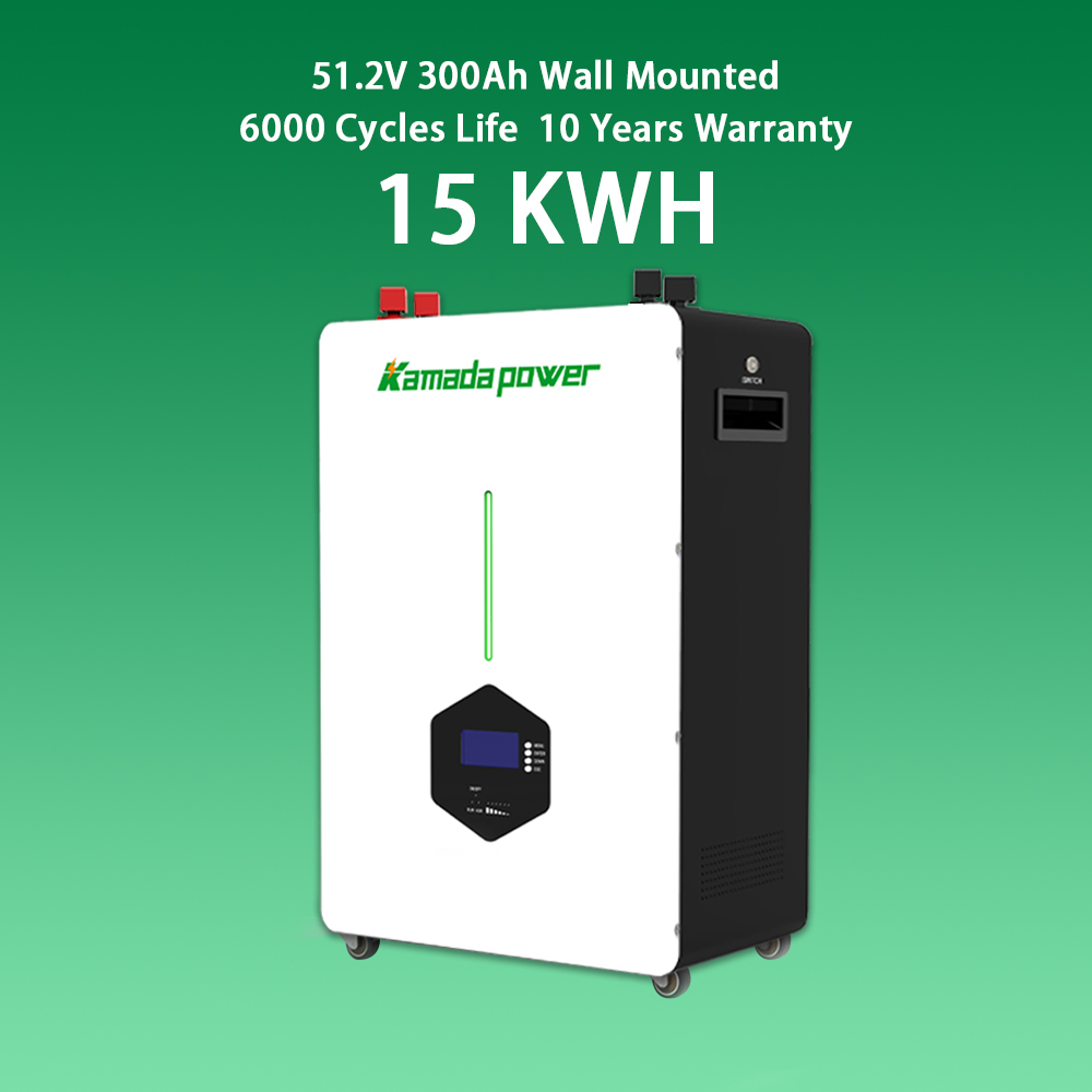 All in One Battery 51.2V 100Ah 200Ah 30kw 50kw Hybrid Inverter 50kWh 100kwh Akku Batterie Home Battery Energy Storage System