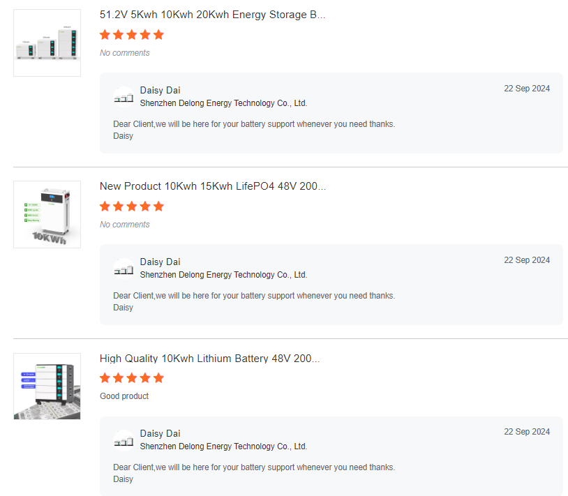 Customer Review 1