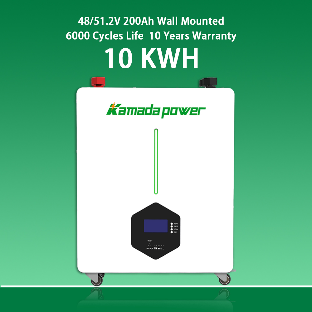 All in One Battery 51.2V 100Ah 200Ah 30kw 50kw Hybrid Inverter 50kWh 100kwh Akku Batterie Home Battery Energy Storage System