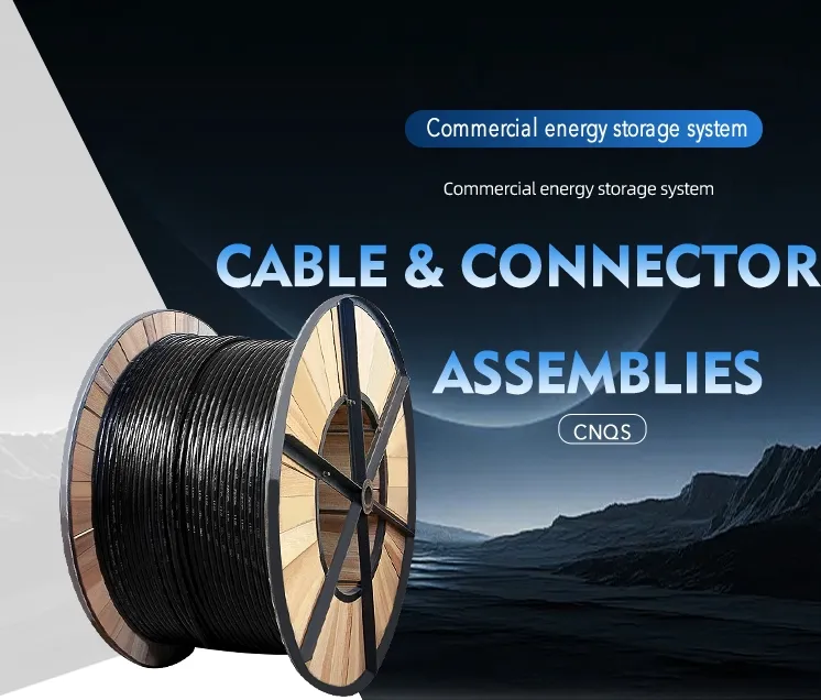 Cable & Connector Assemblies