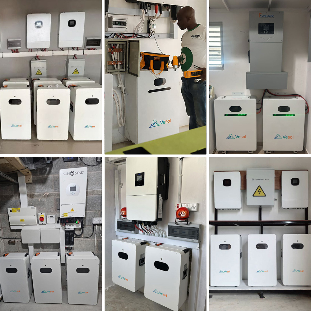 16kWh 51.2V 314Ah LiFePO4 Wall Mounted Solar Battery Residential Energy Storage System Smart BMS CAN RS485 OEM ODM 8000 Cycles