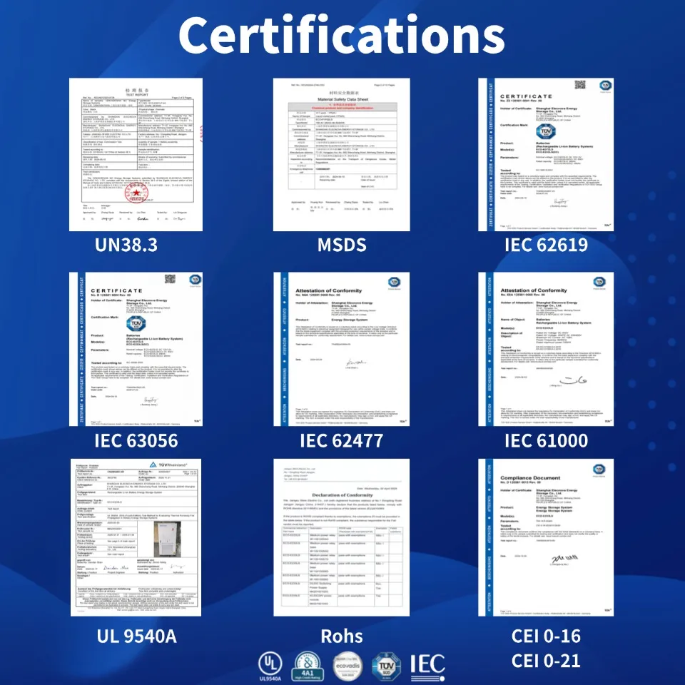 International Quality and Safety Standards
