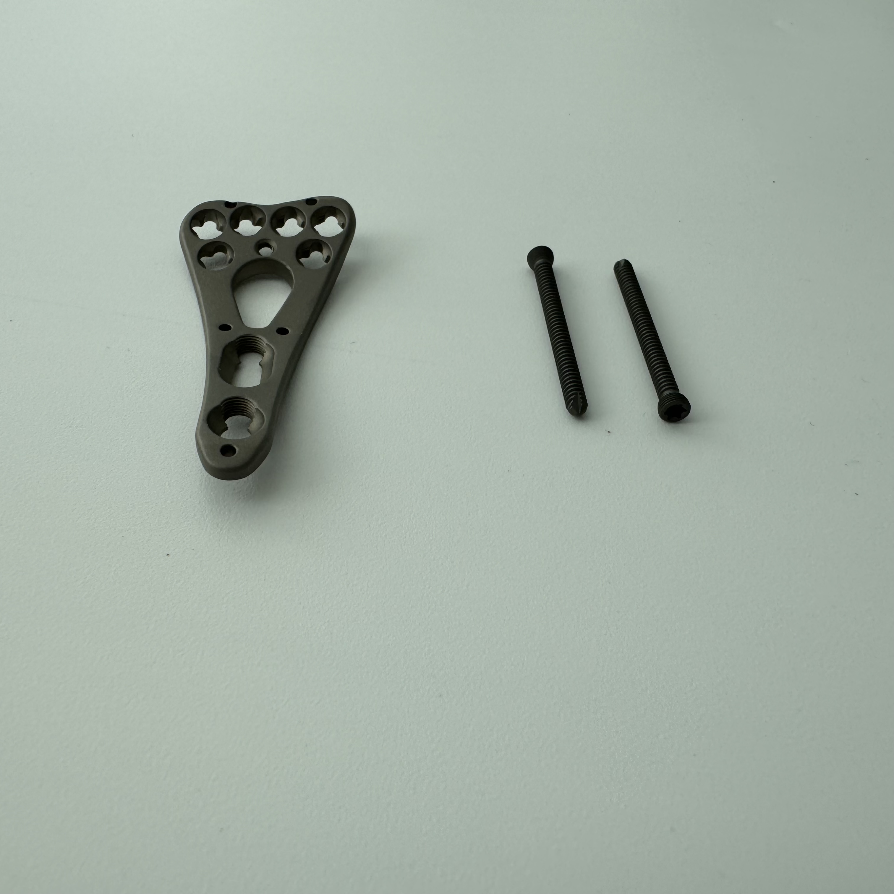 locking plate and screw 6