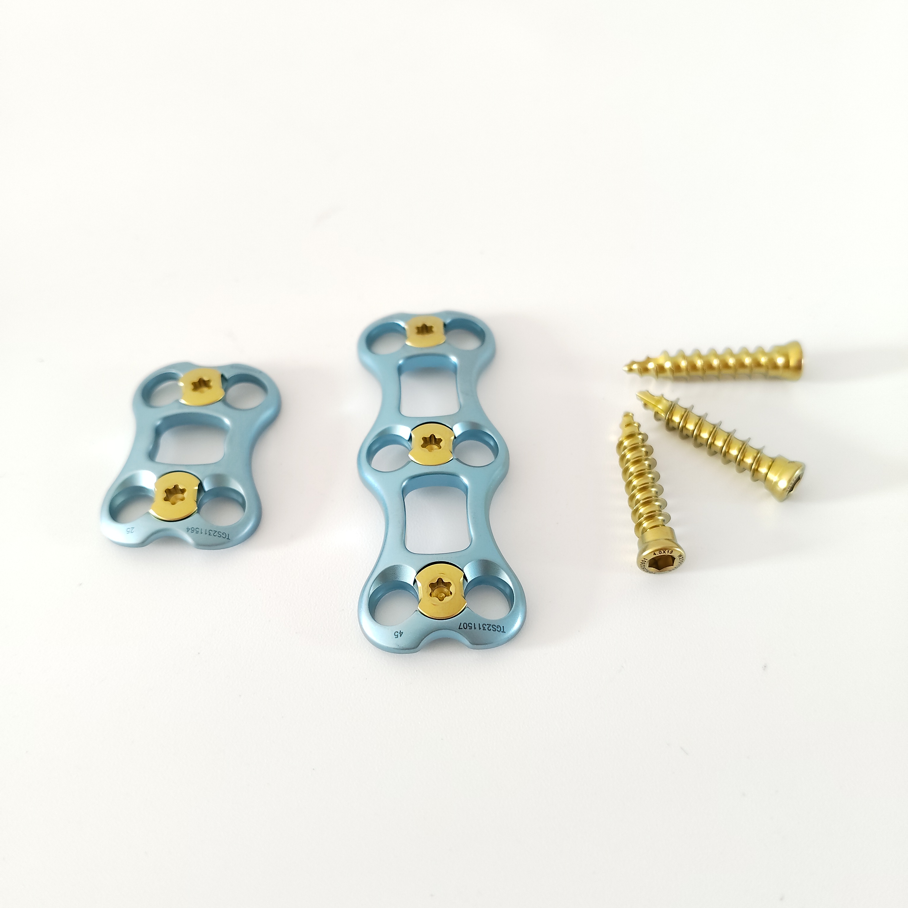 Anterior Cervical Plate View 2