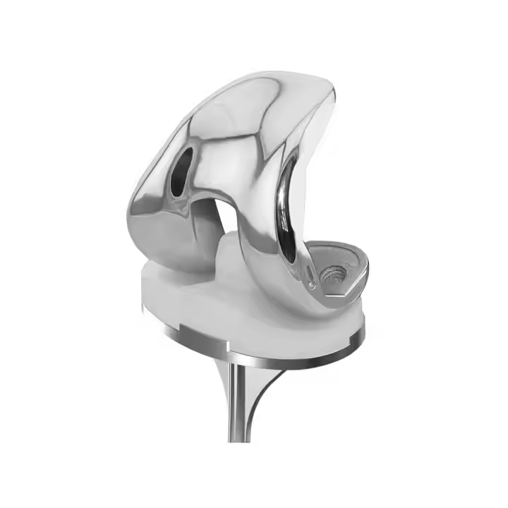 China Manufacturer Artificial Knee Replacement TKA/TKR Primary Total Knee Joint Prosthesis