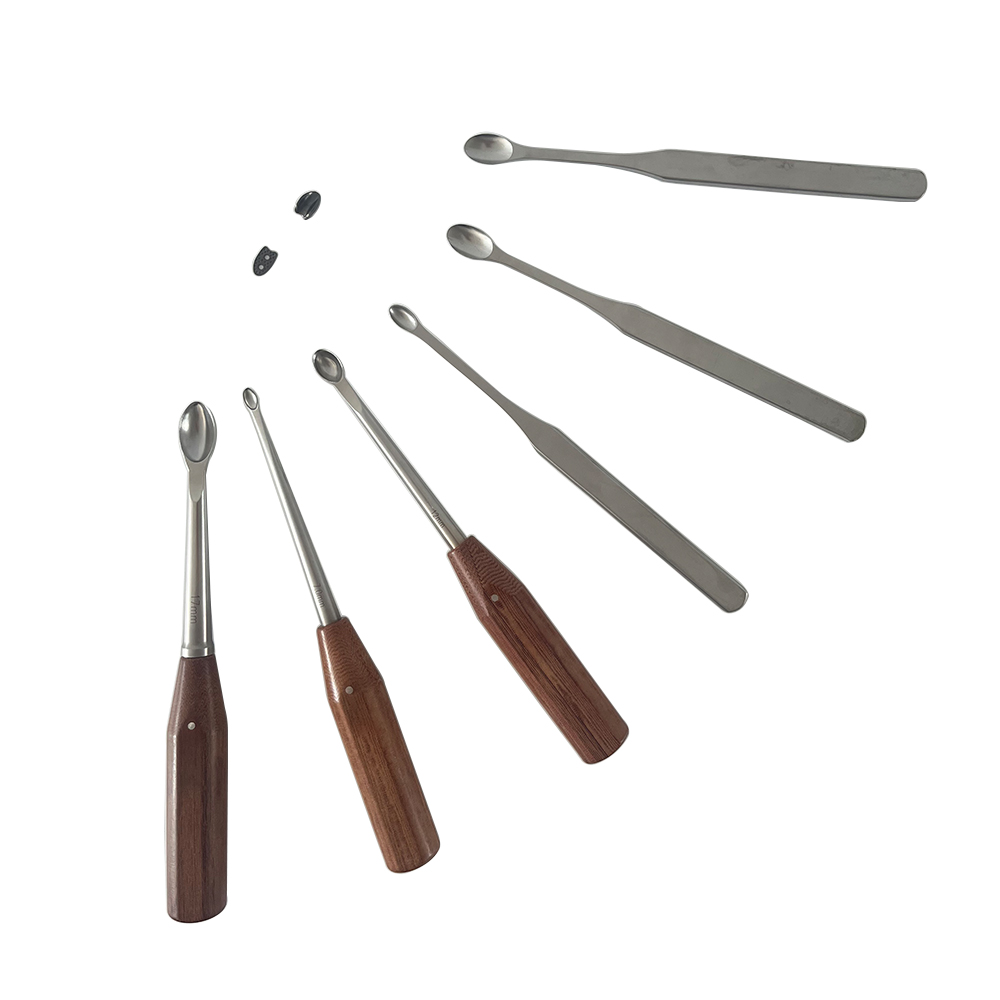 Orthopedic Locking Plate 1