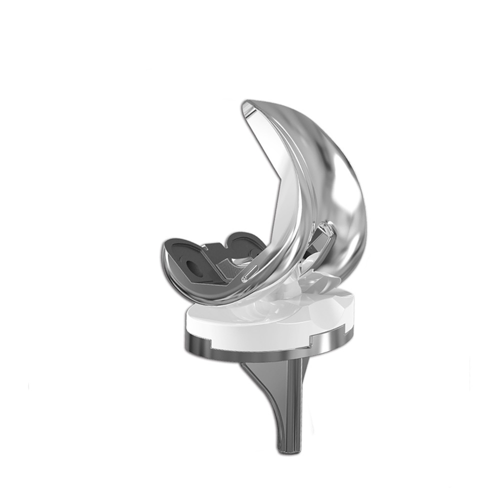 Prosthesis Image 4