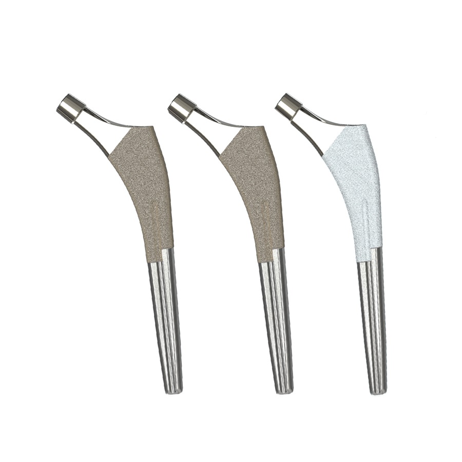 Femoral stems prothesis 2