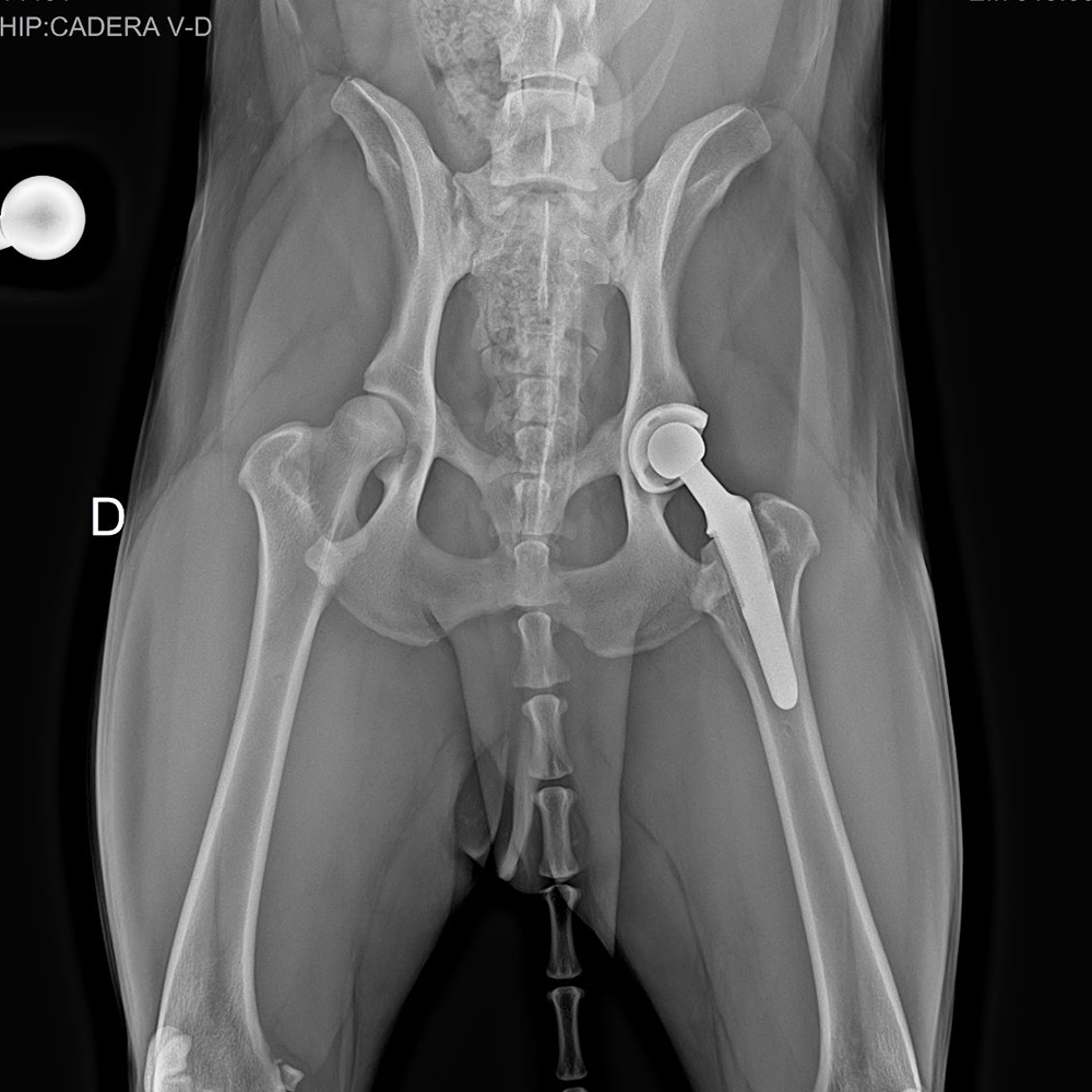 Orthopedic Locking Plates Product Image 2