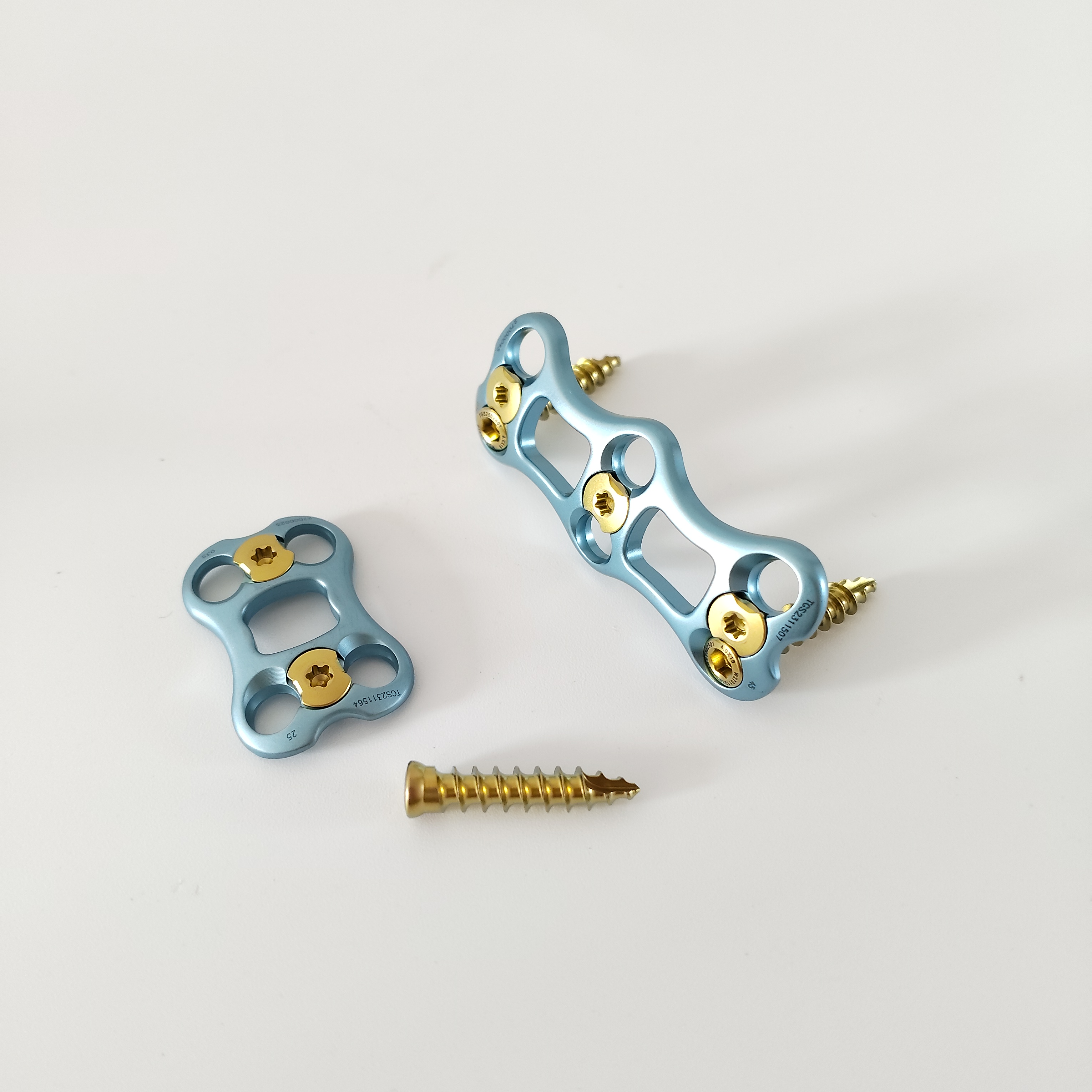 Anterior Cervical Plate View 1