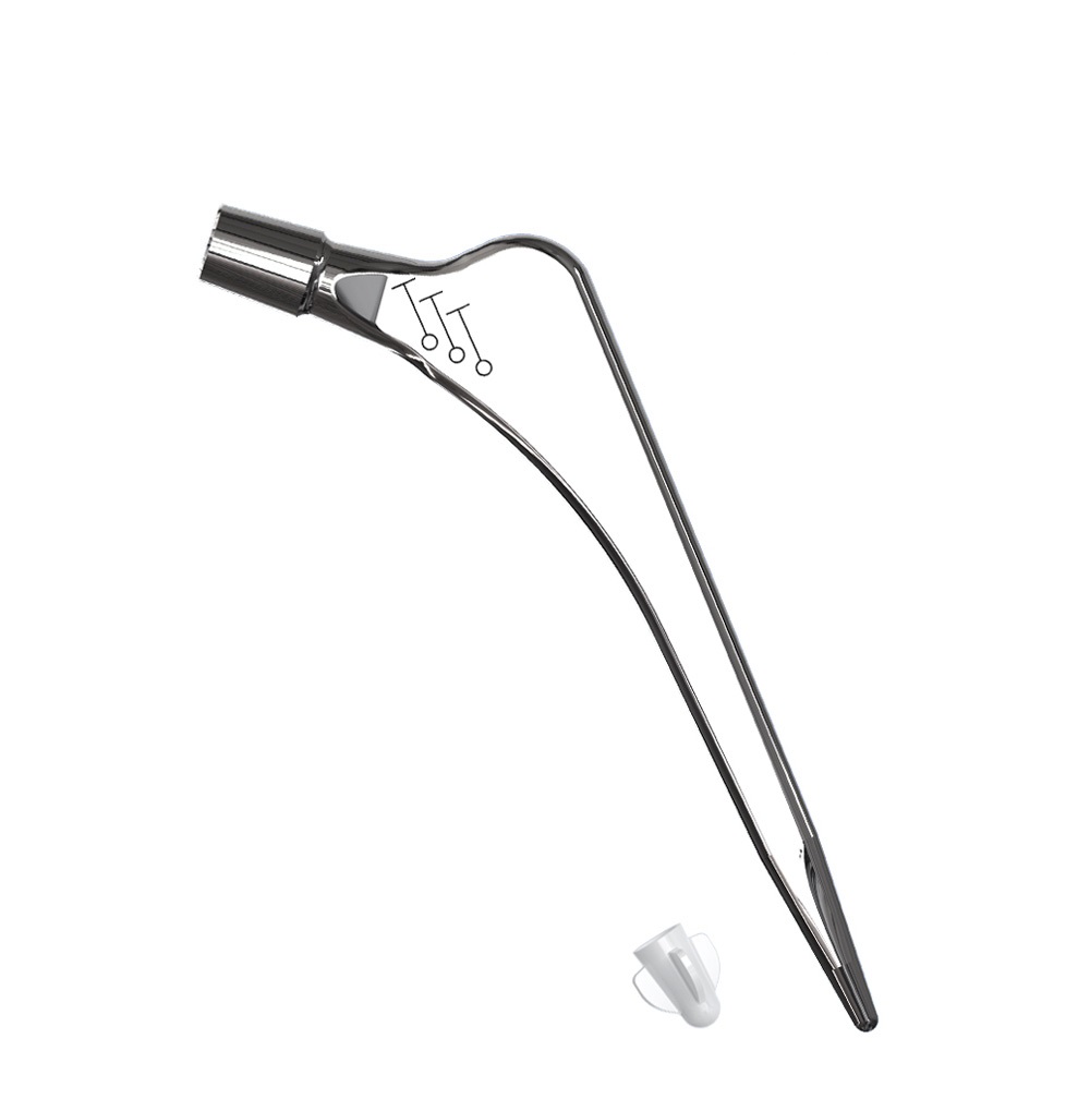 Femoral Stems Prosthesis Overview