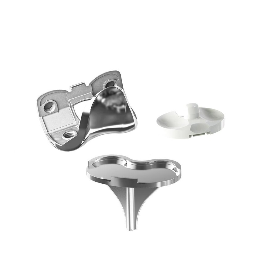 Prosthesis Image 3