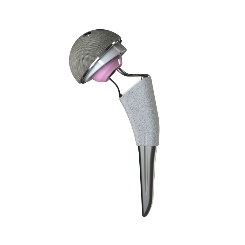 Veterinary Hip Prosthesis Joint Replacement Instrument Set 4#-10#