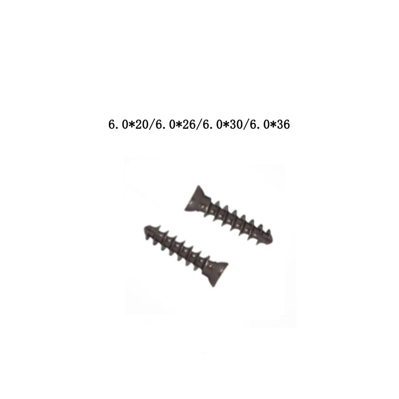 Orthopedic Implant Specimen 4