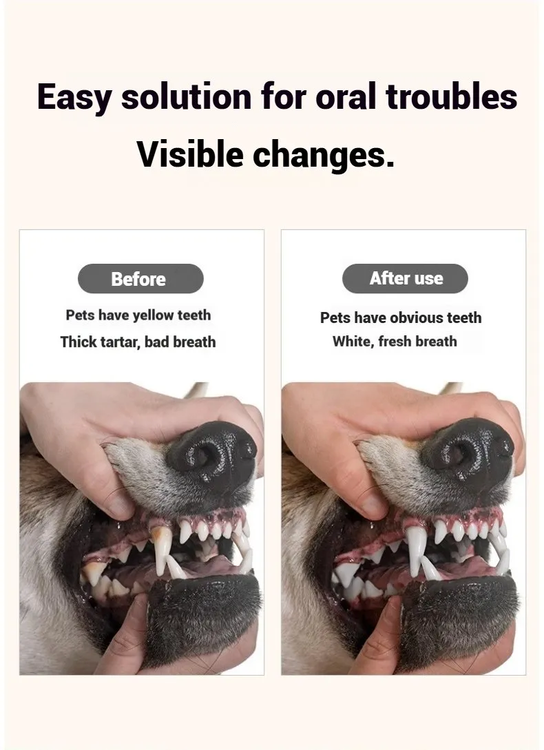 Dental Care Detail 12