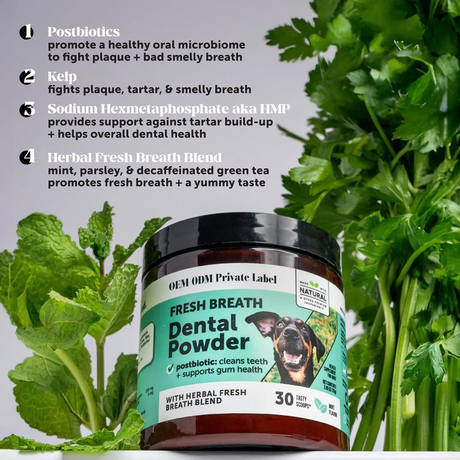 Natural Dog Dental Powder Teeth Cleaner Tartar Remover Pet Oral Care Supplier