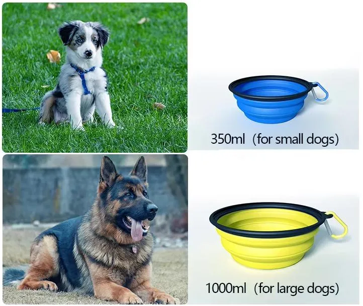 Collapsable Dog Bowl 1