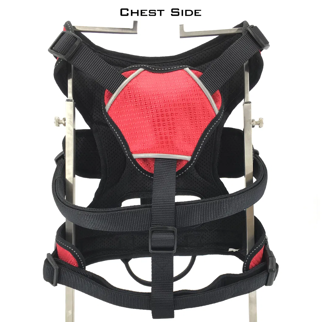 Dog Harness Detail 1