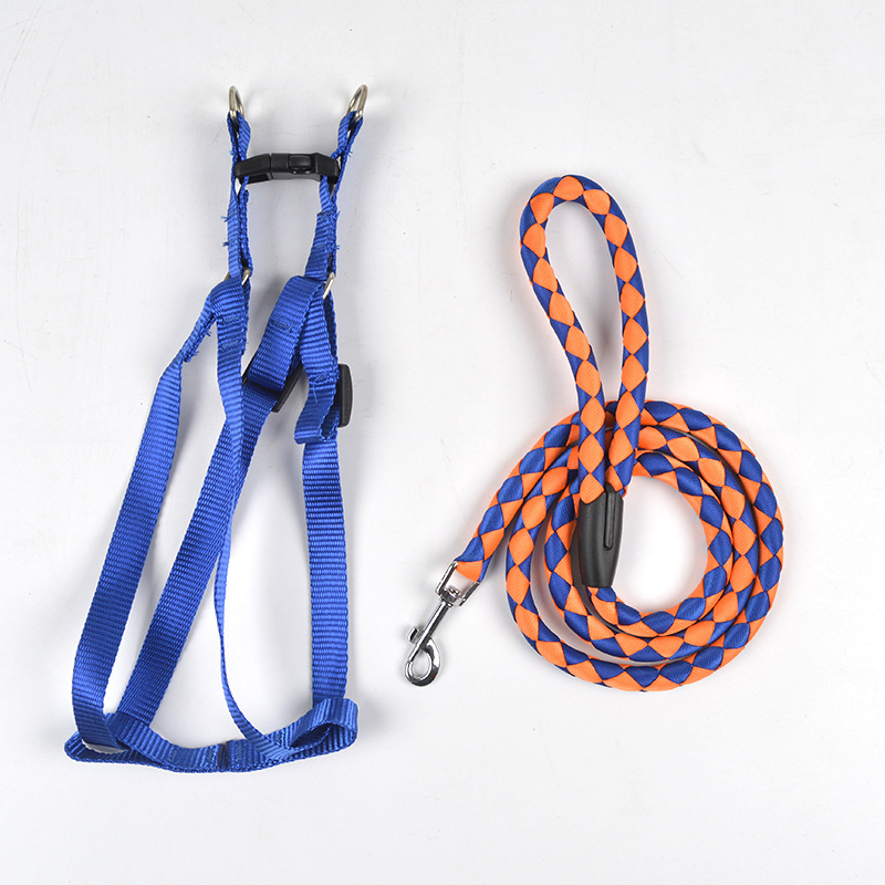 Customizable Pet Collars Modern European Dog Pull Fancy Leash