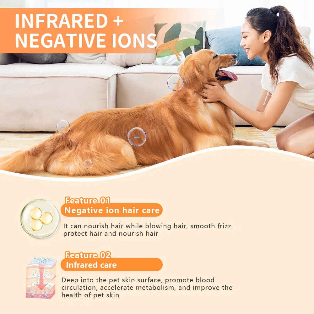 350L Medium-Sized Commercial Dual Control High-Efficiency Negative Ion Health Sterilization Pet Dryer