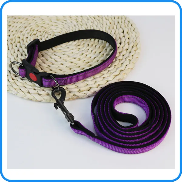 Pet Dog Leash