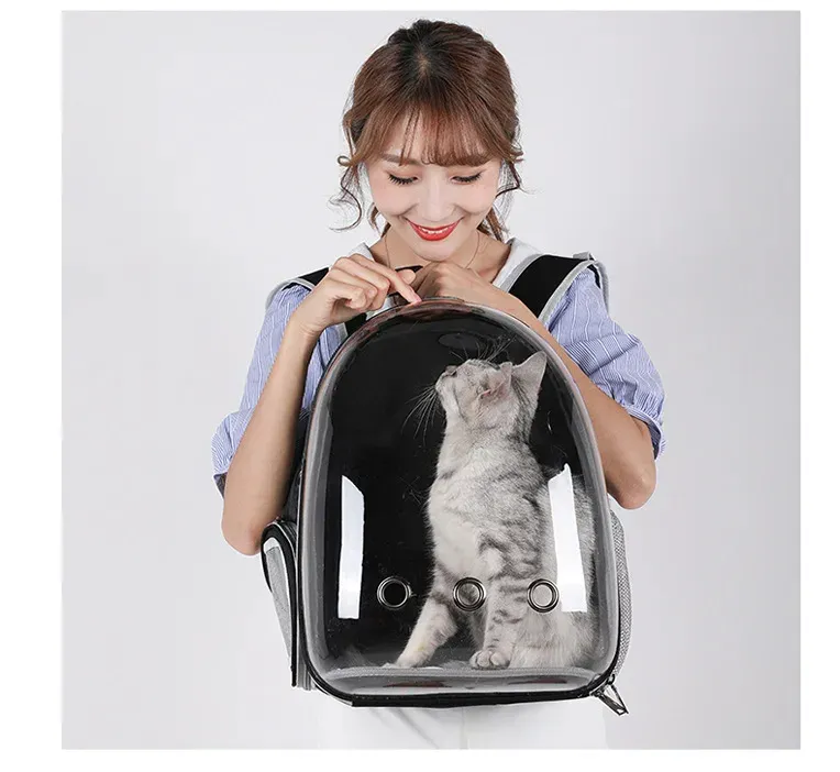 Cat Backpack 6