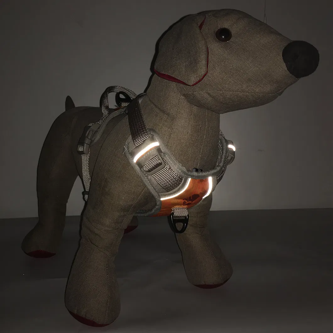 Reflective Stripes 2