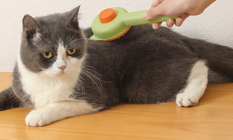 Pet Cleaning Comb Details 1