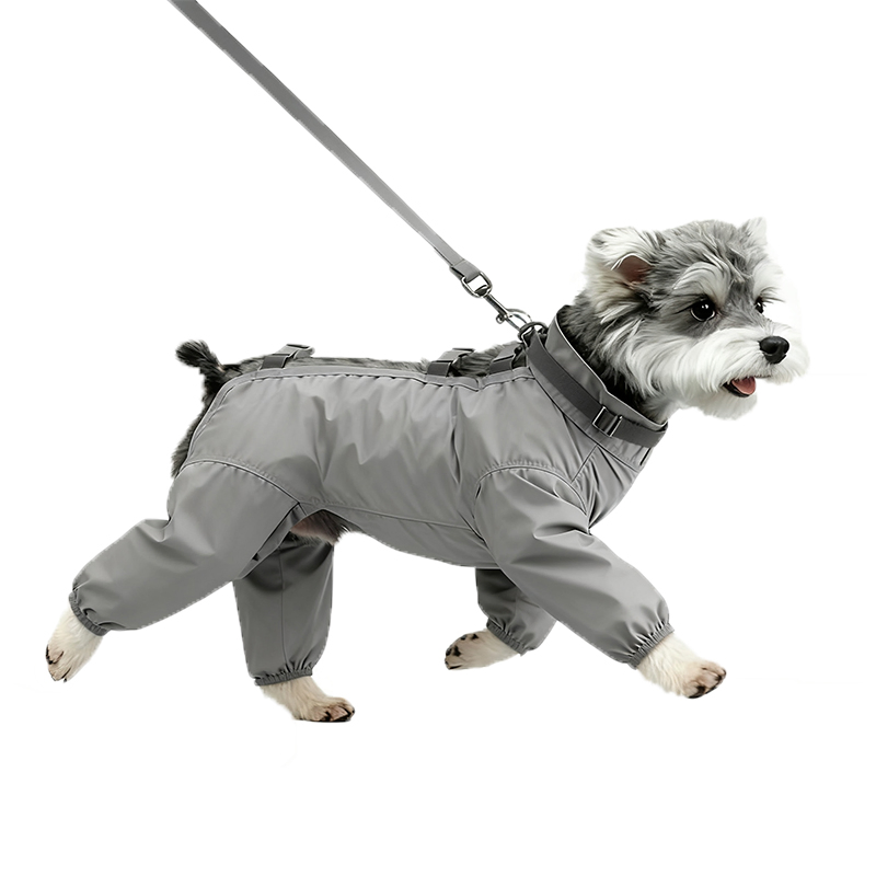 Trendy Dog Apparel Offering Full Abdominal Coverage and Stylish Flexibility