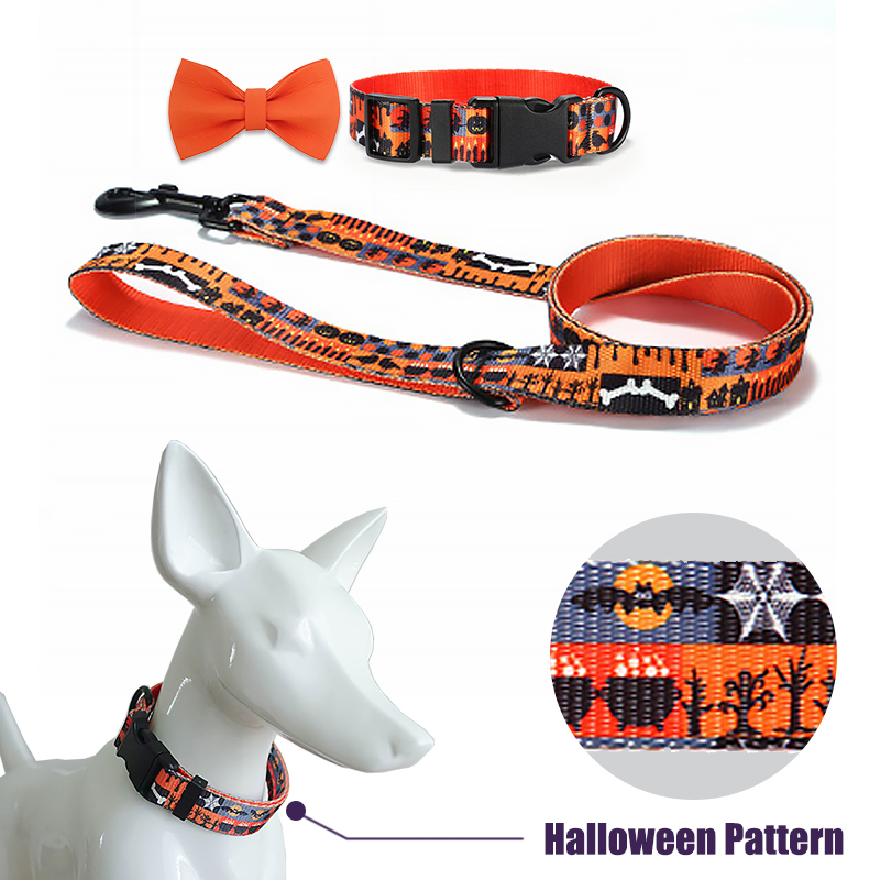 Factory OEM Halloween Nylon Webbing Pet Collar Leash Dog Lead Set